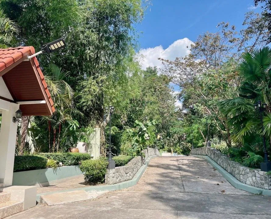 ภายนอก โอลีเวีย พูลวิลล่า พัทยา