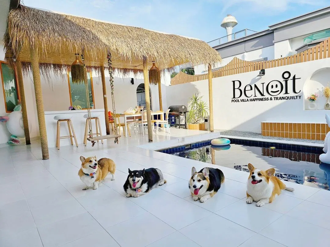 รูปจากลูกค้า Benoit (เบอร์นัวร์)