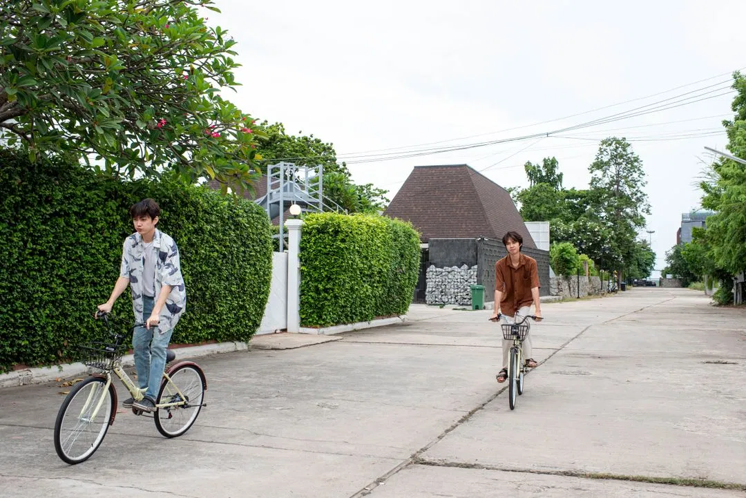 รูปจากลูกค้า White Sugar