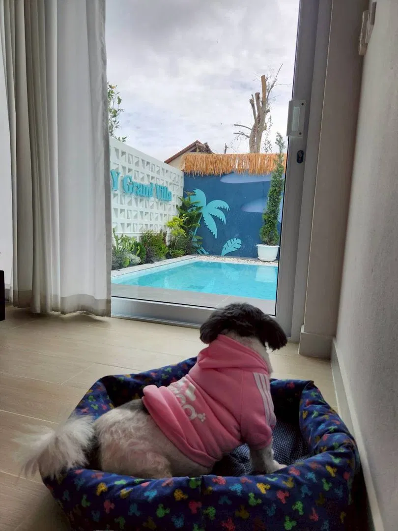 รูปจากลูกค้า NY grand villa